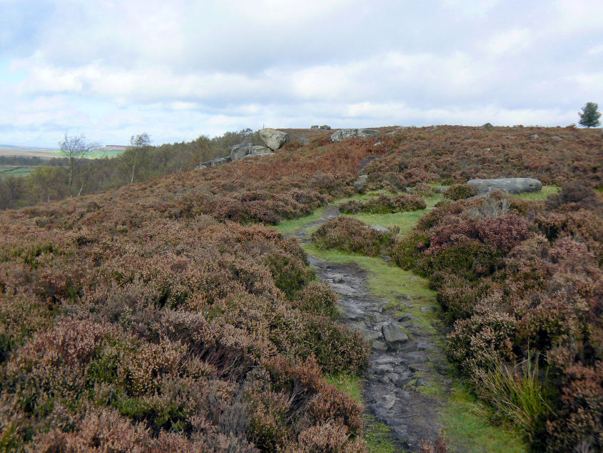 Birchen Edge Birchen Edge